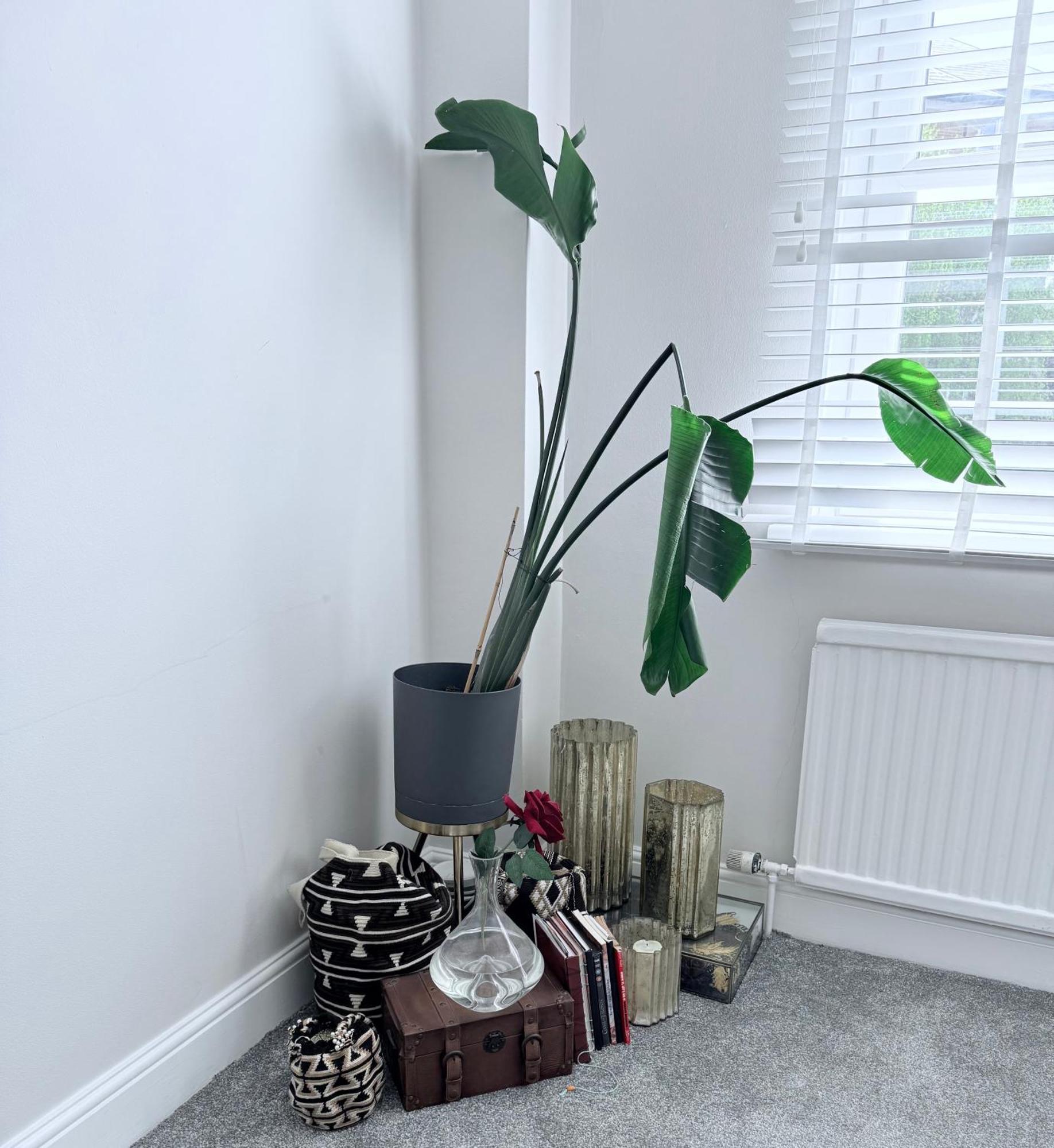 Bright And Modern Flat Near Portobello Road And The Canal London Bagian luar foto
